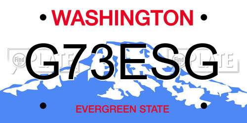 G73ESG Washington License Plate