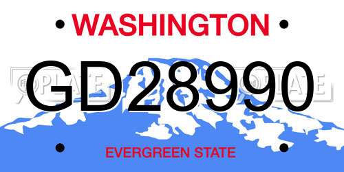 GD28990 Washington License Plate