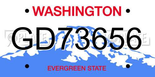 GD73656 Washington License Plate