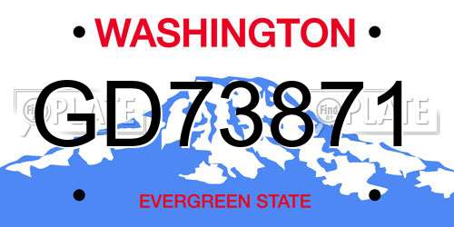 GD73871 Washington License Plate