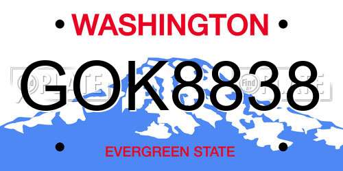 GOK8838 Washington License Plate