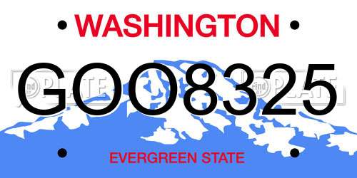 GOO8325 Washington License Plate