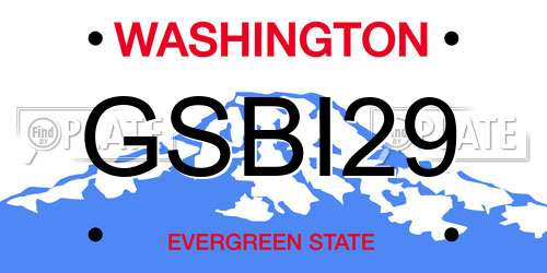 GSBI29 Washington License Plate