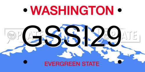 GSSI29 Washington License Plate