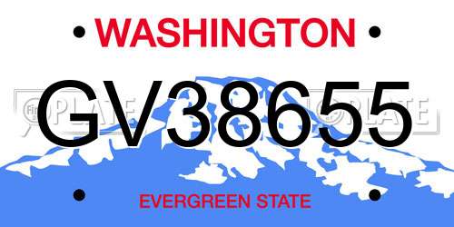 GV38655 Washington License Plate