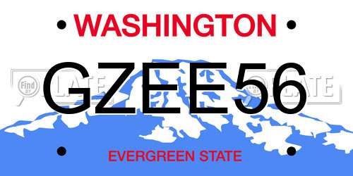GZEE56 Washington License Plate