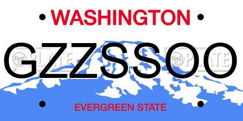 GZZSSOO Washington License Plate