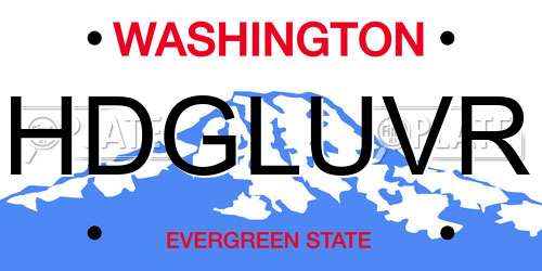 HDGLUVR Washington License Plate