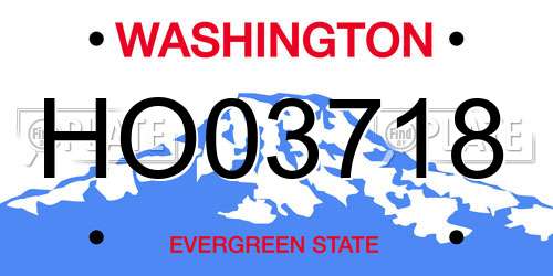 HO03718 Washington License Plate