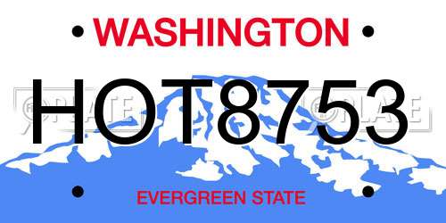 HOT8753 Washington License Plate