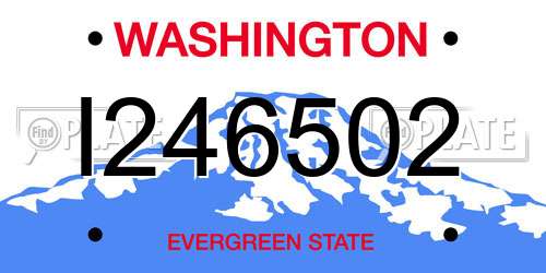 I246502 Washington License Plate