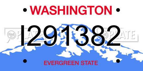I291382 Washington License Plate