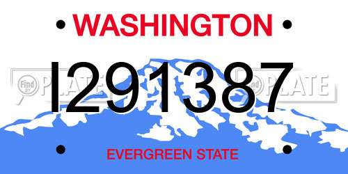 I291387 Washington License Plate