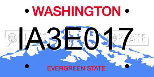 IA3E017 Washington License Plate