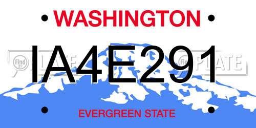 IA4E291 Washington License Plate