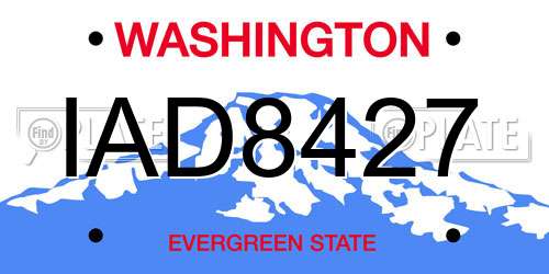 IAD8427 Washington License Plate