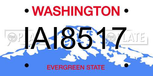 IAI8517 Washington License Plate