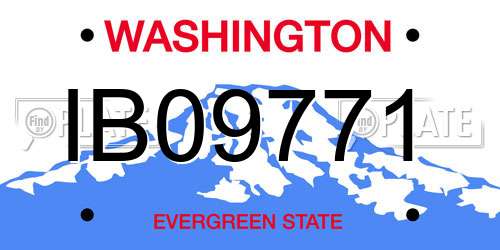 IB09771 Washington License Plate
