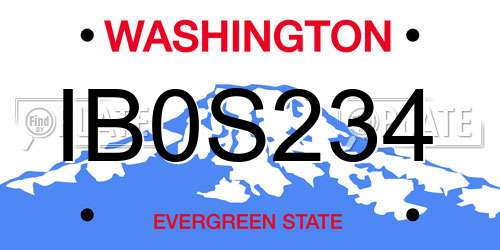 IB0S234 Washington License Plate
