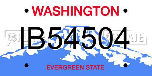 IB54504 Washington License Plate