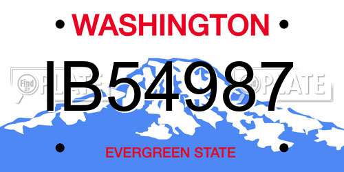 IB54987 Washington License Plate