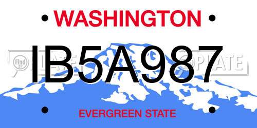 IB5A987 Washington License Plate