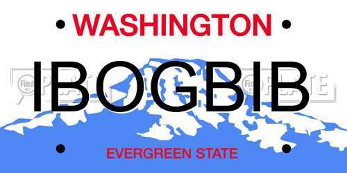 IBOGBIB Washington License Plate