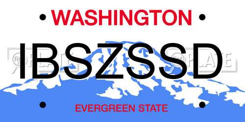 IBSZSSD Washington License Plate