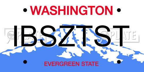 IBSZTST Washington License Plate