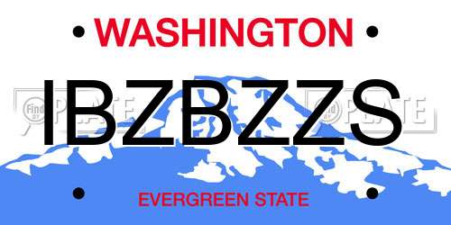 IBZBZZS Washington License Plate
