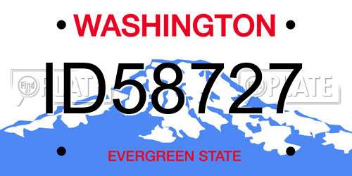 ID58727 Washington License Plate