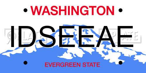 IDSEEAE Washington License Plate