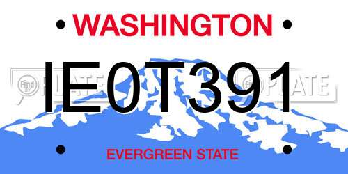 IE0T391 Washington License Plate