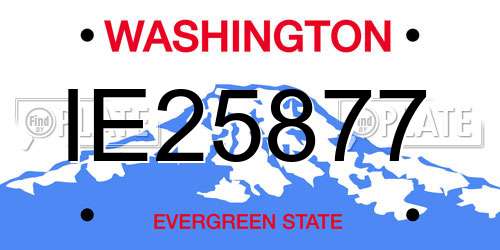 IE25877 Washington License Plate