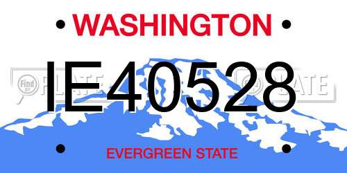 IE40528 Washington License Plate