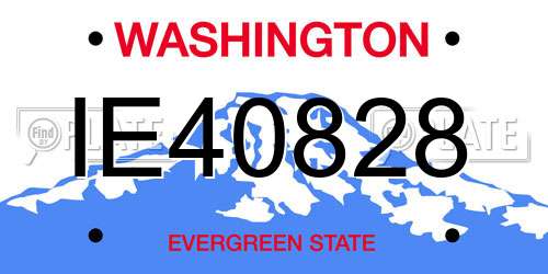 IE40828 Washington License Plate