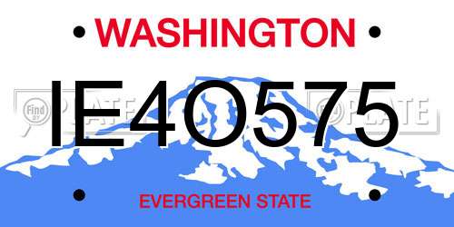 IE4O575 Washington License Plate