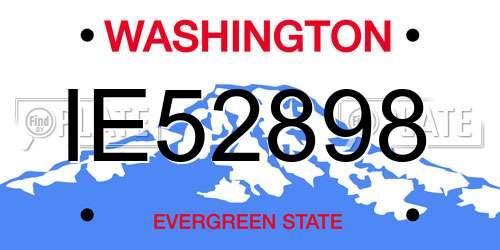 IE52898 Washington License Plate