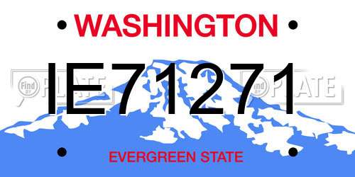 IE71271 Washington License Plate