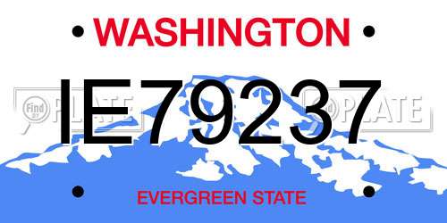 IE79237 Washington License Plate