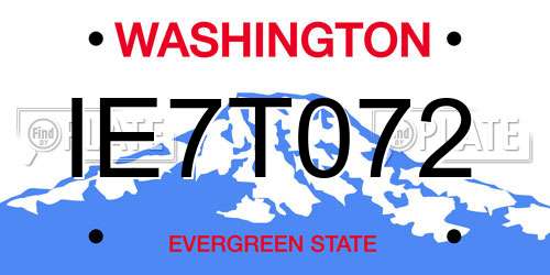 IE7T072 Washington License Plate