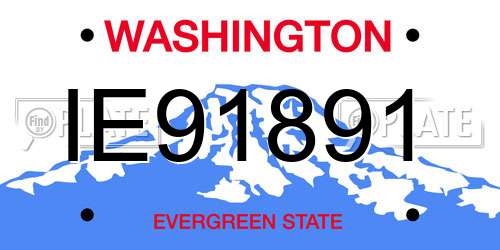 IE91891 Washington License Plate