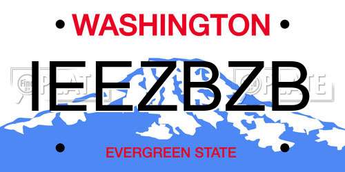 IEEZBZB Washington License Plate