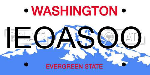 IEOASOO Washington License Plate