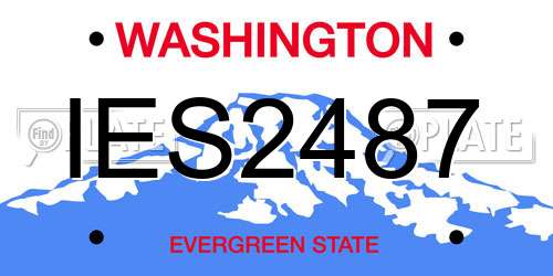 IES2487 Washington License Plate