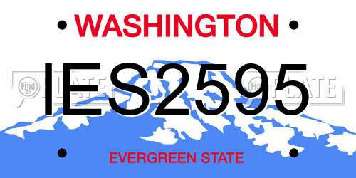 IES2595 Washington License Plate