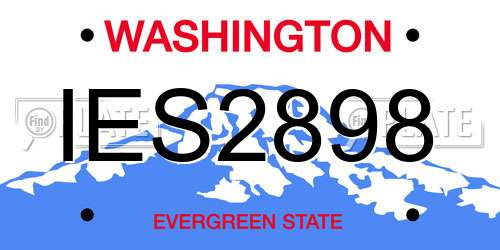 IES2898 Washington License Plate