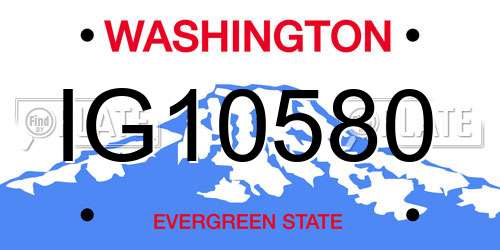 IG10580 Washington License Plate