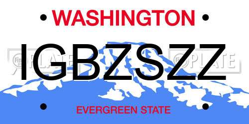 IGBZSZZ Washington License Plate