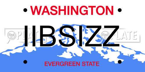 IIBSIZZ Washington License Plate